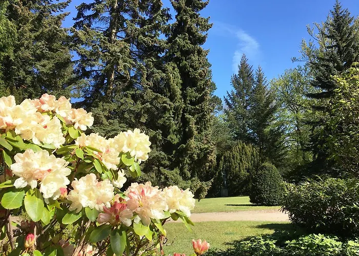 Διαμέρισμα Residenz Bleichroeder - Teja Mit Strandkorb